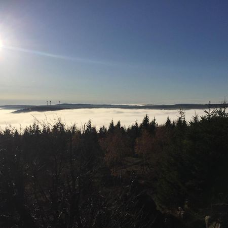 Willa Erzgebirgsholzhaus Am Lugstein Altenberg  Zewnętrze zdjęcie