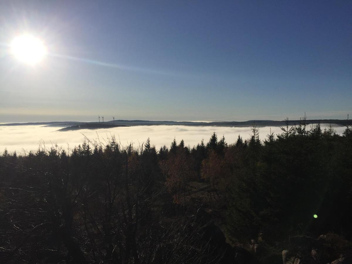 Willa Erzgebirgsholzhaus Am Lugstein Altenberg  Zewnętrze zdjęcie