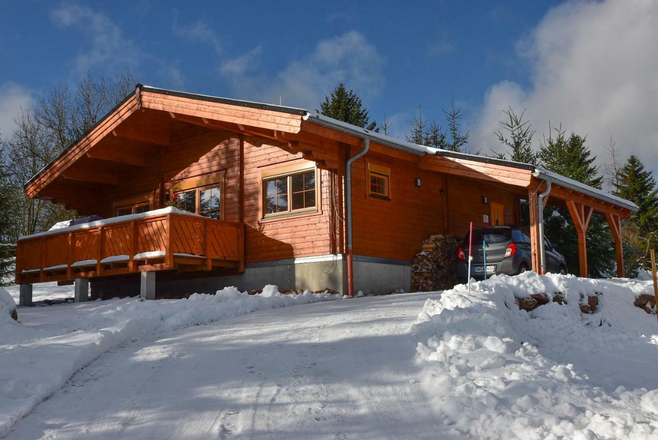 Willa Erzgebirgsholzhaus Am Lugstein Altenberg  Zewnętrze zdjęcie